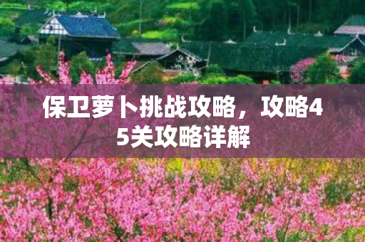 攻略45关攻略详解图片