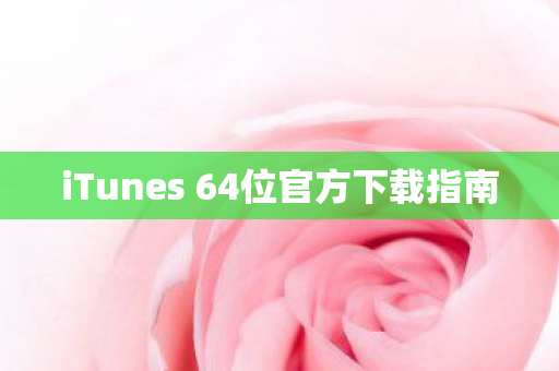 iTunes 64位官方下载指南图片