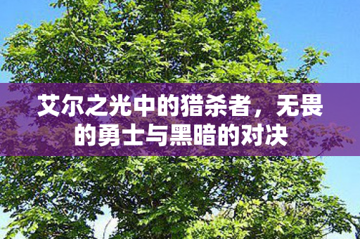 无畏的勇士与黑暗的对决图片