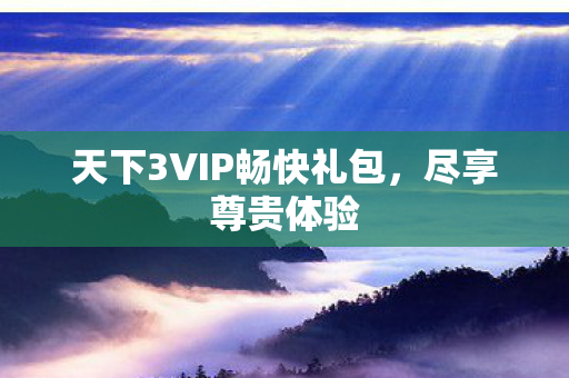 天下3VIP畅快礼包图片