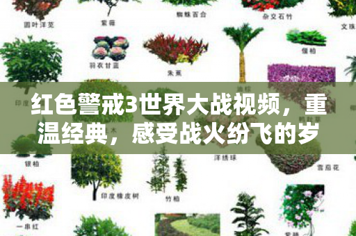 红色警戒3世界大战视频图片