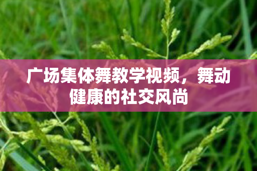 广场集体舞教学视频图片