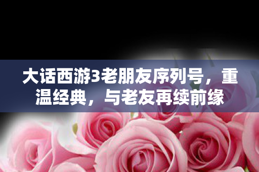 大话西游3老朋友序列号图片