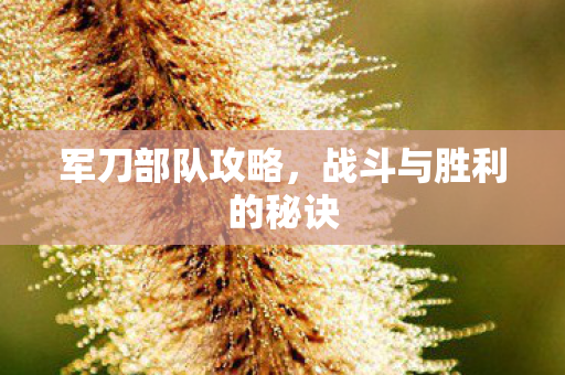 战斗与胜利的秘诀图片