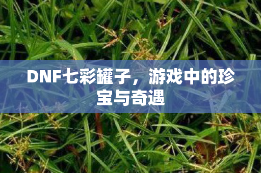 游戏中的珍宝与奇遇图片