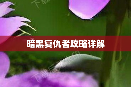 暗黑复仇者攻略详解图片
