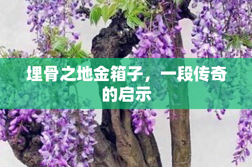 埋骨之地金箱子图片