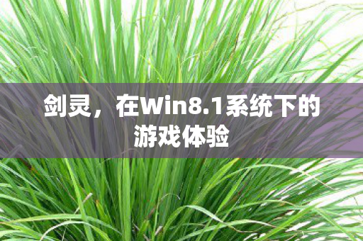 1系统下的游戏体验图片