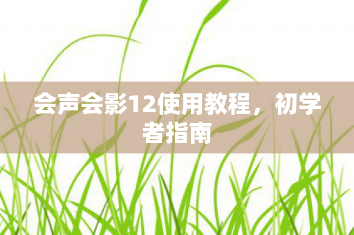 会声会影12使用教程图片