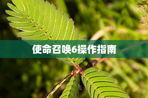使命召唤6操作指南图片