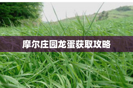 摩尔庄园龙蛋获取攻略图片