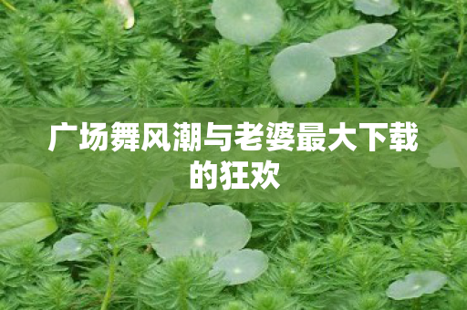 广场舞风潮与老婆最大下载的狂欢图片