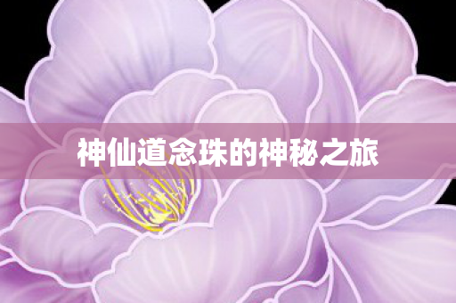 神仙道念珠的神秘之旅图片