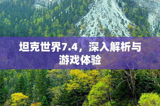 深入解析与游戏体验图片