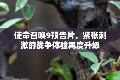 紧张刺激的战争体验再度升级图片