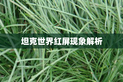 坦克世界红屏现象解析图片