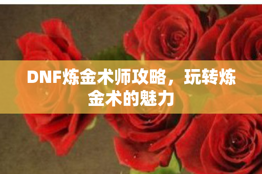 DNF炼金术师攻略图片