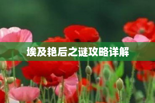 埃及艳后之谜攻略详解图片