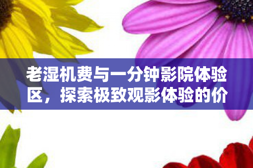 老湿机费与一分钟影院体验区图片
