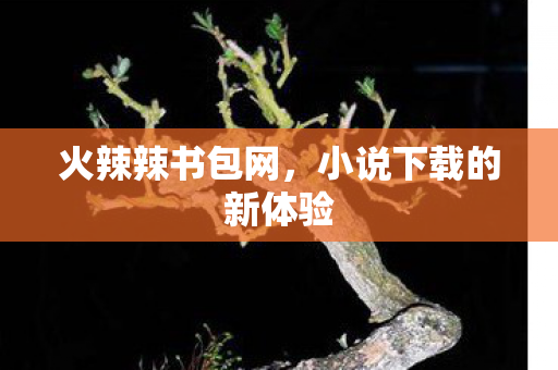 小说下载的新体验图片