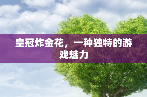 一种独特的游戏魅力图片