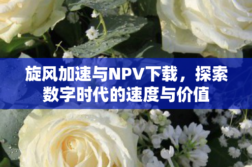 探索数字时代的速度与价值图片