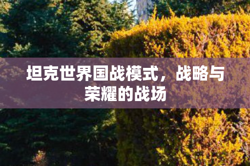 坦克世界国战模式图片