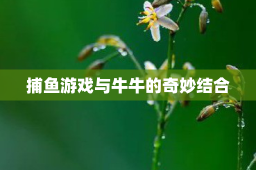 捕鱼游戏与牛牛的奇妙结合图片