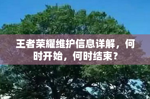 王者荣耀维护信息详解图片