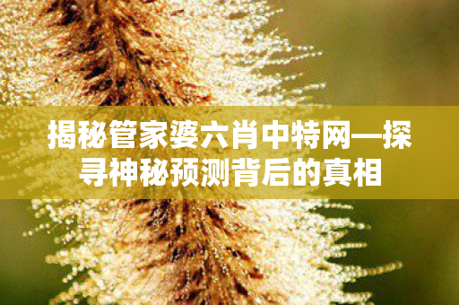 探寻神秘预测背后的真相图片
