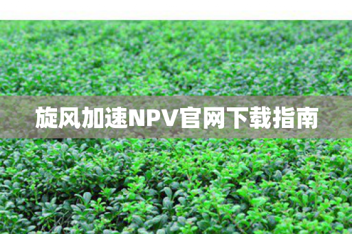 旋风加速NPV官网下载指南图片