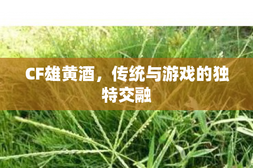 传统与游戏的独特交融图片