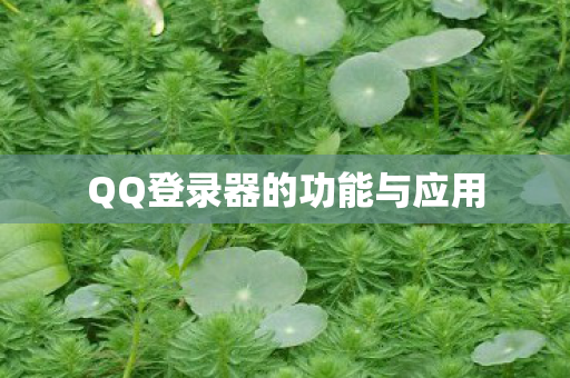 QQ登录器的功能与应用图片