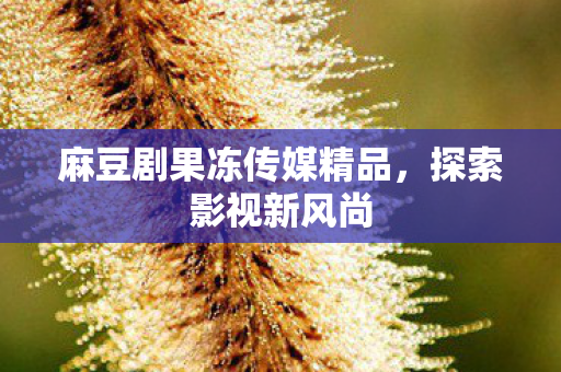 麻豆剧果冻传媒精品图片