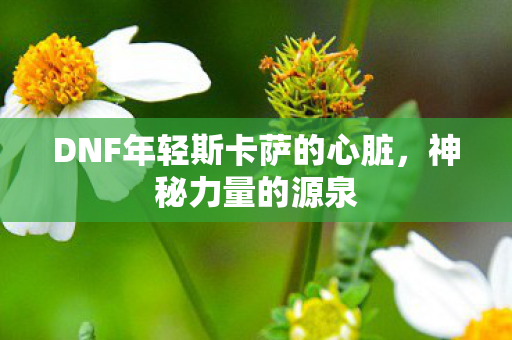 DNF年轻斯卡萨的心脏图片