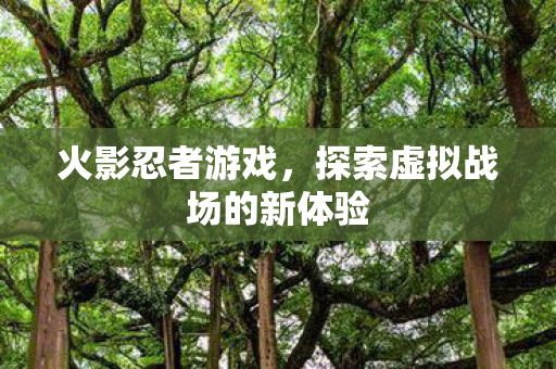 探索虚拟战场的新体验图片