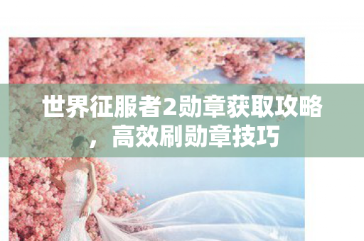 世界征服者2勋章获取攻略图片