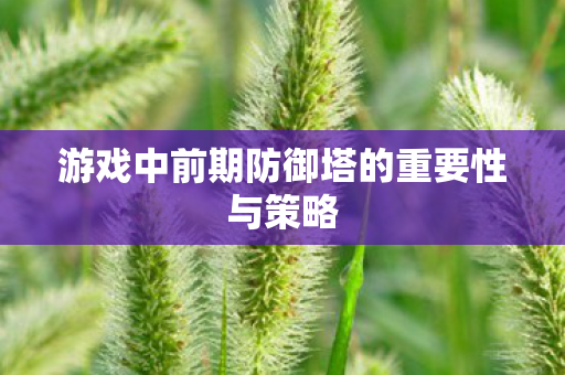 游戏中前期防御塔的重要性与策略图片