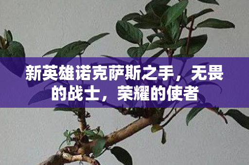 新英雄诺克萨斯之手图片