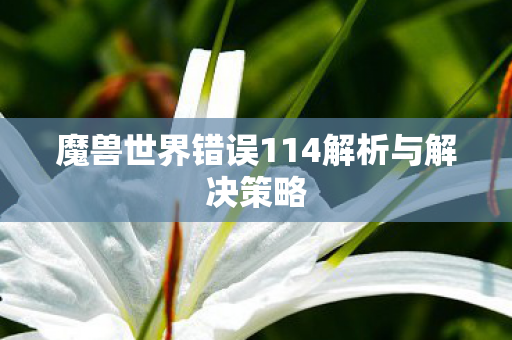 魔兽世界错误114解析与解决策略图片