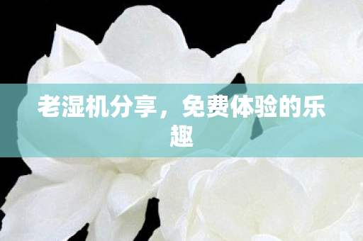 免费体验的乐趣图片