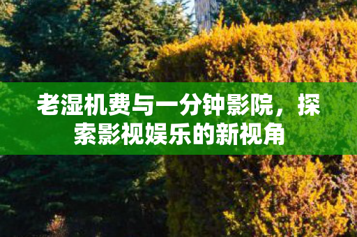 老湿机费与一分钟影院图片