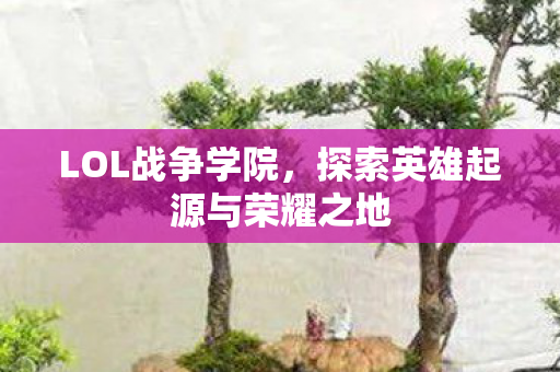 探索英雄起源与荣耀之地图片