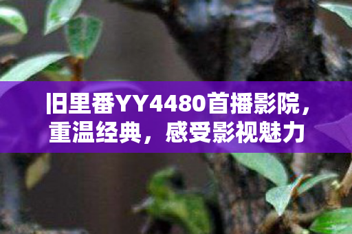 旧里番YY4480首播影院图片