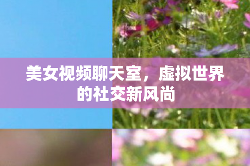 虚拟世界的社交新风尚图片