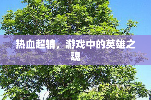 游戏中的英雄之魂图片