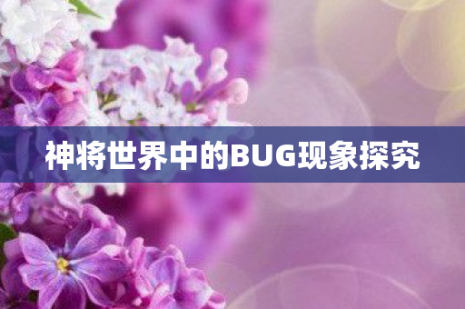 神将世界中的BUG现象探究图片