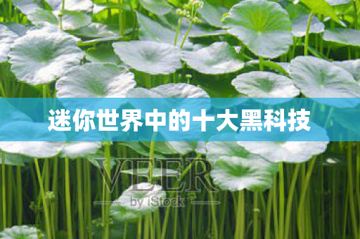 迷你世界中的十大黑科技图片