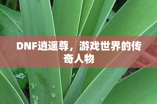 游戏世界的传奇人物图片