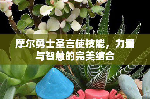 力量与智慧的完美结合图片